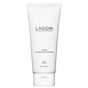 Lagom Увлажняющая слабокислотная пенка для умывания Cellup Ph Cure Foam Cleanser 120ml 10768