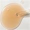 Kaine Восстанавливающая cыворотка с комбучей и церамидами Kombu Barrier Ampoule 30ml 11061 - фото 2015